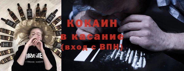 стаф Арсеньев