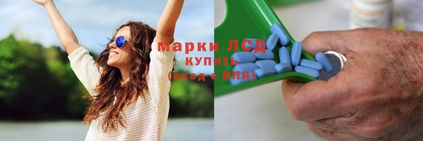 стаф Арсеньев