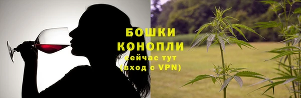 Альфа ПВП Аркадак