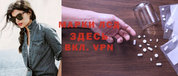 стаф Арсеньев