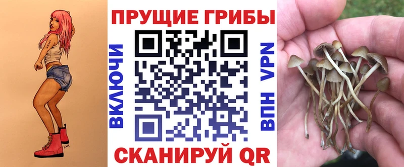 Галлюциногенные грибы GOLDEN TEACHER  даркнет сайт  Усмань 